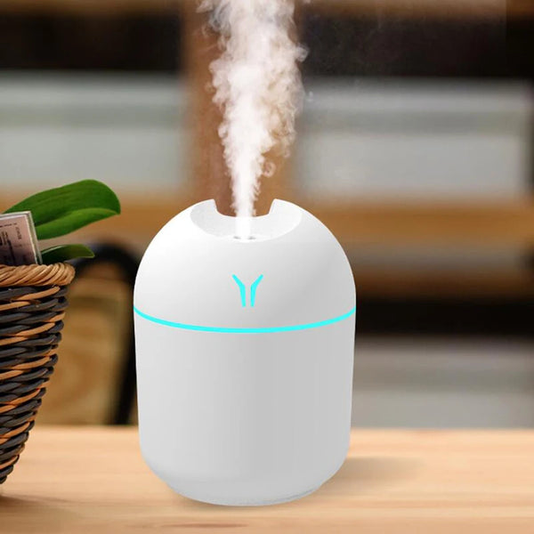 Mini humidificateur USB 250ml